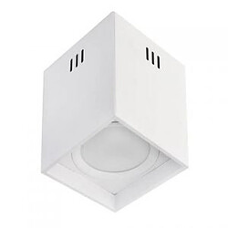 HOROZ ELECTRIC Plafonnier LED carré 15W 1050lm 4200K Blanc