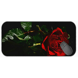 Universal (750x300x3) grand tampon de souris de jeu avec couture de bord, fleurs charmantes, tapis de souris de roses naturelles