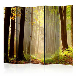 Paris Prix Paravent 5 Volets Mysterious Forest Path 172x225cm