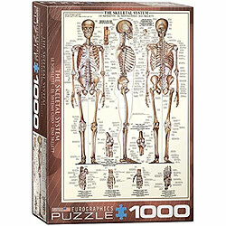 Eurographics Skeletal System (graphique) Puzzle (1000 piAces) (6000-3970) 