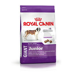 Royal Canin Chien Giant Junior