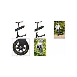 Schilder Fun Sport SCHILDKRÖT Trottinette Stunt Scooter 360 Orbit () 