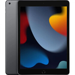 Tablette Apple - iPad (2021) - 10,2 - WiFi - 64 Go - Gris Sidéral