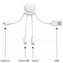 XOOPAR Câble 3 en 1 Octopus USB A/micro USB & USB C & Lightning 0,1m Blanc