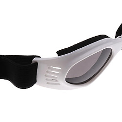 lunettes de soleil pour animaux de compagnie uv lunettes de soleil anti-vent lunettes protection des yeux blanc pas cher