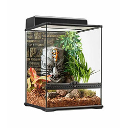 Terrarium Tiki-Little-Tall Exo Terra 