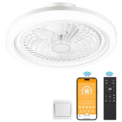 FIMEI Ventilateur de plafond NACATIN Fan Silencieux 6 Vitesses Eclairage Dimmable 3 Couleurs 49cm WF60506 