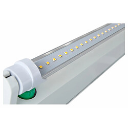 15x Showlite LED tube T8W24K45F-1500mm (lumière du jour 4500K)