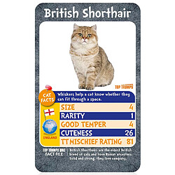 Winning Moves Cats - Top Trumps Top Trumps Jeu de société (Anglais) pas cher