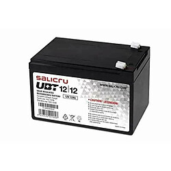 Batterie pour Système d'Alimentation Sans Interruption Salicru 013BS000003 12 ah 12 v