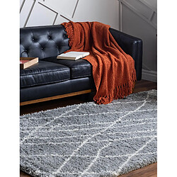 Avis Hadorn Tapis shaggy 305x215 gris Lachen Fence