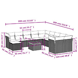 Avis vidaXL Salon de jardin avec coussins 12 pcs beige résine tressée