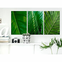 Paris Prix Tableau Imprimé Leaves Collection 30 x 60 cm