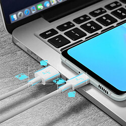 Chargeur Secteur USB et Câble USB-C Puissance 33W Original Vivo Blanc pas cher