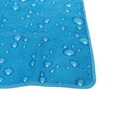 Été de PVC refroidissant le tapis de voiture 05 de voiture de siège de coussin de siège de siège de coussin de glace de chaise de glace