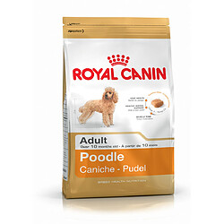 Royal Canin Race Poodle - Caniche Adult