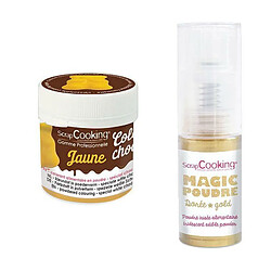 Scrapcooking Colorant alimentaire liposoluble Color'choco 5 g jaune + Poudre alimentaire irisée dorée 