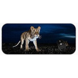 Universal (750x300x3) xxl jeu grand pad de souris lion grand chat faune au lever du soleil