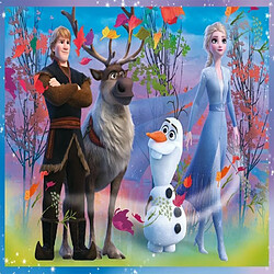 Trefl- Eine Reise ins Unbekannte, Disney Frozen 2 Von 35 BIS 70 Teilen, 4 Sets, für Kinder AB 4 Jahren Boîte à Puzzle, 916 34323, Multicolore pas cher