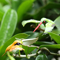 Avis réaliste insecte animal pot cintre frigo aimant décor de jardin colibri