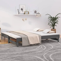 Maison Chic Lit d'appoint Gris 2x(90x200)cm,Lit coulissant Lit de repos Bois de pin massif -GKD96225