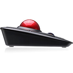 Adesso IMOUSE-T50, Wireless Ergonomic programable Desktop Trackball pas cher