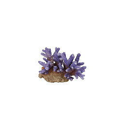 Aquadella AQUA DELLA Décoration pour aquarium Corail Acropora 15,5 x 12 x 10cm - Lila