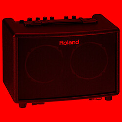 AC-33 Acoustic Amplifier Roland