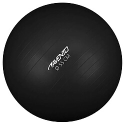 Avento Ballon de fitness/d'exercice Diamètre 55 cm Noir 