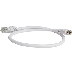 CAE Groupe CORDON BALUN TV F/RJ45 C.A.E - CORDBALRJF040