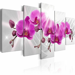 Paris Prix Tableau Imprimé Abstract Garden : Pink Orchids 50 x 100 cm 