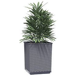 Avis Maison Chic Lot de 4 Jardinières,Bac à fleurs - pot de fleur gris foncé 30x30x37 cm polypropylène -GKD64301