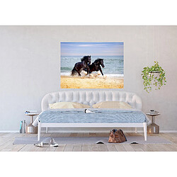 AG ART Poster Thème Horses On Beach - 160 x 110 cm