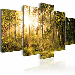 Paris Prix Tableau Imprimé Magic of Forest 50 x 100 cm 