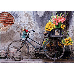 Educa Borras EDUCA PUZZLE 500 BICYCLETTE AVEC DES FLEURS 