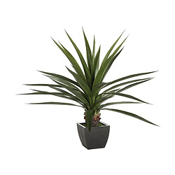 Atmosphera, Createur D'Interieur Plante grasse en pot H. 130 cm Instinct Naturel - Atmosphera 