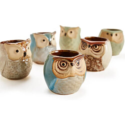 Avis BESTA 2.5 Inch Owl Pot Ceramic Flowing Glaze Base Serial Set Succulent Plant Pot Cactus Plant Pot Flower Pot Container Planter Bonsai Pots with A Hole Gift Idea 6 in Set