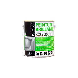 Batir Peintures Peinture acrylique Brillante 2,5 L - Blanc - BAT111898 - Batir