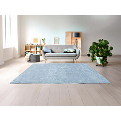 Vente-Unique Tapis shaggy à poils longs - 200x 300 cm - Bleu clair - MILINIO