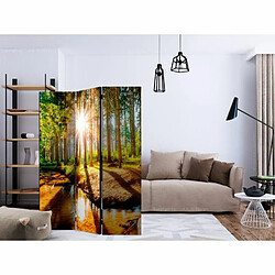 Paris Prix Paravent 3 Volets Marvelous Forest 135x172cm