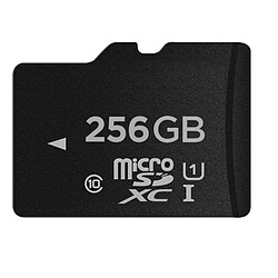 Wewoo Carte mémoire Micro SD TF classe 10 haute vitesse 256 Go de Taiwan 100% de capacité réelle