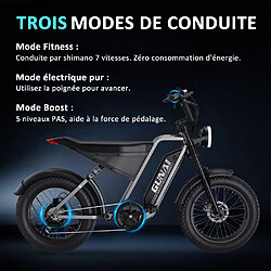 GUNAI-Y Vélo électrique cyclomoteur pour adultes Vélo de montagne électrique tout-terrain de 20 pouces avec batterie lithium-ion 48V18AH, suspension complète à 7 vitesses pas cher