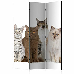 Paris Prix Paravent 3 Volets Sweet Cats 135x172cm