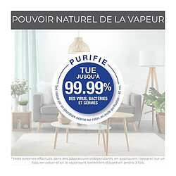 CALOR DT3053C0 Défroisseur vapeur, 1300 W, Débit vapeur 20 g/min, Chauffe en 15 sec, Tous types de tissus, Access Steam Pocket