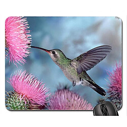 Universal Pads de souris Hummingbird Pad 22x25cm