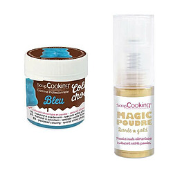 Scrapcooking Colorant alimentaire liposoluble Color'choco 5 g bleu + Poudre alimentaire irisée dorée 