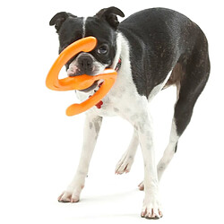 Zogoflex Jouet à mâcher pour chiens Bumi Taille L Orange 1947