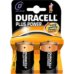 2 Piles DURACELL MN1300-D LR20