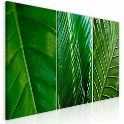 Paris Prix Tableau Imprimé Leaves Collection 30 x 60 cm 