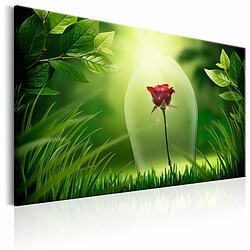 Paris Prix Tableau Imprimé Magical Rose 40 x 60 cm 